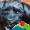 Annette Munson - @annette.munson - TikTok