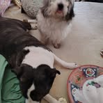 Nanette Olson - Facebook