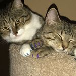 Nanette Orr - @nankellyorr - Instagram