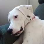 Nanette Pearson - @nanettepearson3 - Instagram