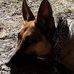 Nanette Pearson - Facebook