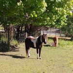 Nanette Phillips Hopkins - @nanettehopkins54 - Instagram