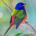 Nanette Porter Rouse - Facebook