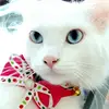 Nanette Ramirez - @nanetteramirez32 - TikTok