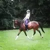 _nanette.robbie_ - @_nanette.robbie_ - TikTok
