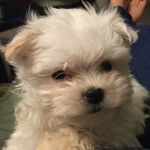 Nanette Sanchez - @anercol - Instagram