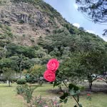 Nanette Sánchez - @nanette10007 - Instagram