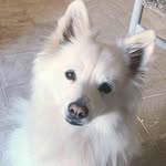 Nanette Snyder Estabrooks - @nanetteestabrooks - Instagram