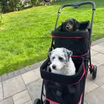 Nanette Wolf - @nanette9550 - Instagram