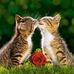 Nanette  Yang - Facebook