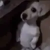 nani - @nani_riveraa - TikTok