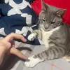 🕯️YRNani2.o☦️ - @nani.rivera89 - TikTok