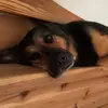 Nanna Smith - @nanna.smith - TikTok