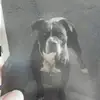 Nannette Roach - @nannette.roach - TikTok