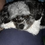 Annie Andersen - @annieandersen32 - Instagram