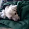 Nannie Bailey - @nannie.bailey - TikTok