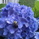 Annie Dean Kadis - @annieandbiff - Instagram