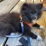 Annie Lyons - @annie.lyons.442 - Instagram