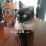 Annie Patrick le Bouffo - @lebouffo - Instagram