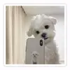 Naomii Ackerman - @naomii.ackerman - TikTok