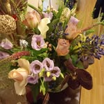 Naomi Ashman - @shafter85 - Instagram