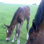 Naomi Baum - @naomi.murray.3194 - Instagram