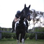 Naomi Benson - @njb.equestrian - Instagram