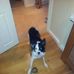 Naomi Bond - Facebook