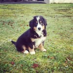 Naomi Breen - @nomi67 - Instagram