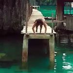 Naomi Breen - @naomi123_breen - Instagram