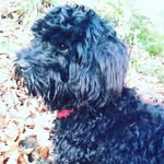 Naomi Brough - @oranges_are_amazing - Instagram