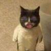 Siennaaaa._. - @naomibroughton595 - TikTok