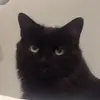 Naomicherry13 - @naomicherry13 - TikTok