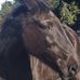 Naomi Coates - Facebook