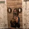 naomi - @naomimariahcolson - TikTok
