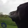 naomicombs - @naphomi13 - TikTok