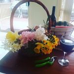 Naomi Davidson - @naomid711 - Instagram