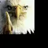 Naomi Eagle - @naomi.eagle7 - TikTok