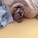 Naomi Ebert - @naomi.ebert.9 - Instagram