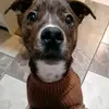 Naomi Egan265 - @naomiegan1 - TikTok