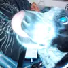 Tilly - @naomiegan0 - TikTok