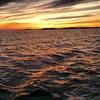 naomifields40 - @naomi.fields0 - TikTok