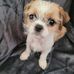Naomi Garner - Facebook