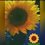 Naomi Gordon - @naomigordon99 - Instagram