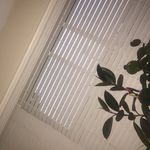 Naomi Gray - @its.meee.naomi - Instagram