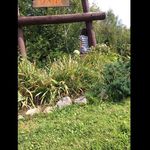 Naomi Hoffman :) - @1naomi_hoffman1 - Instagram