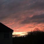 Naomi Hopper Ogrady - @_naomi_isla_ - Instagram