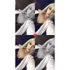 Naomi Keating - @naomikeating3 - TikTok