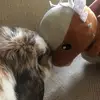 Nom Nom - @naomikleiner - TikTok
