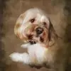 Naomi D Magee - @naomidmagee - TikTok